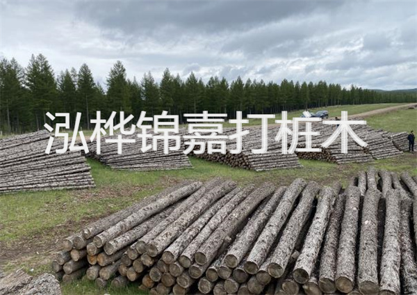 鋼結(jié)構(gòu)施工方案大全免費(fèi)提供，助力工程建設(shè)